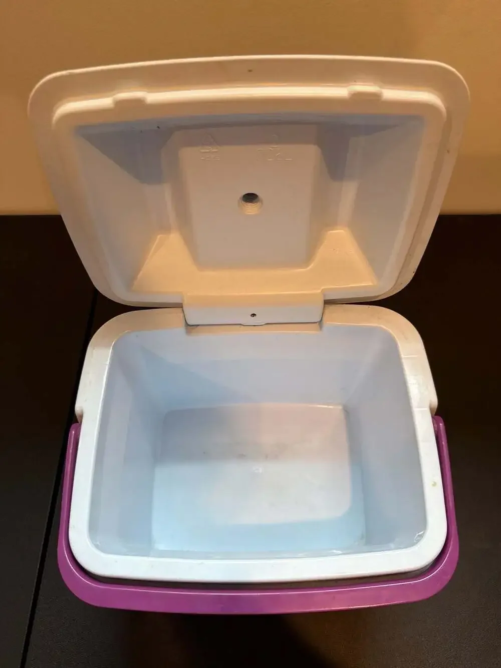 Vintage Rubbermaid Teal and Purple Personal Lunch Cooler